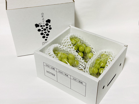 【冬ギフト】【御年始】「シャインマスカット」　熨斗対応可　1房約400g 3房入り