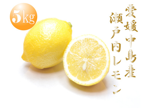 農薬不使用　完熟　瀬戸内レモン愛媛中島産　朝摘み発送！