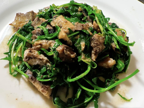 【月・金曜発送便】ココロ躍る🌈おまかせ野菜セット【さいたま市産】