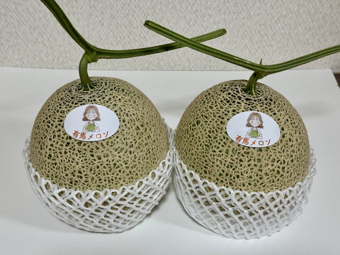 【県知事賞受賞】有馬温泉の麓産 特秀品 赤肉メロン🍈 超特大6L 2玉｜土づくりと甘さにこだわった農薬節約栽培🌱 兵庫県産 レノン《7月中旬頃〜発送🚛³₃》【お中元】【夏ギフト】【特秀品】