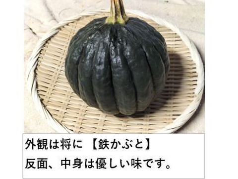 鉄かぶと★肉厚でジューシーなカボチャ！まとめ買いでお得＜約8kg/約5玉＞