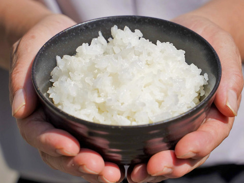 【特栽米食べ比べセット】2kg×3種類 （こし・ミルキー・ゆうだい）【令和4年産】　食べ比べ　お米