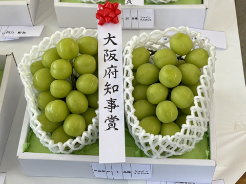 贈答品シャインマスカット3房入り・約2kg：大阪府産のシャイン
