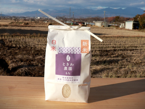 【令和7年産】農薬・化学肥料不使用　長野県産もち米【白米10kg】