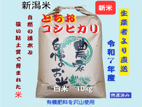 令和7年新米・予約】【第2段】 【新潟・とちお産コシヒカリ