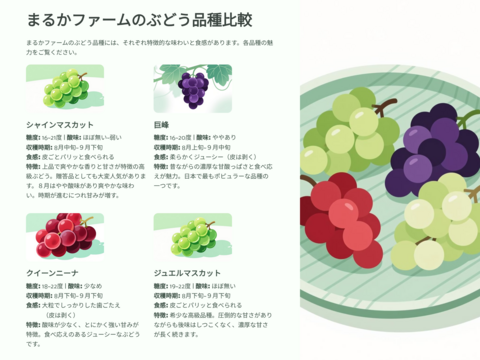🍇【山梨県笛吹市産】ジュエルマスカット 約2.0kg🍇 ～果実の宝石、爽やかな甘さと豊かな香り～贈答　ギフト　家庭用にも