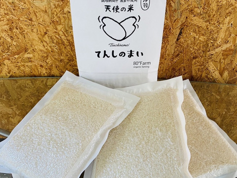 新米！福岡県産元気つくし農薬不使用真空パック１㎏×3
