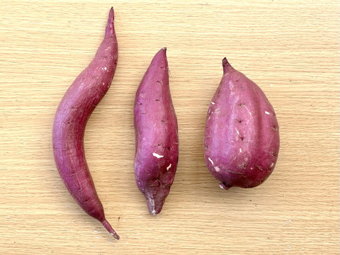 訳ありでもシットリ甘い！「シルクスイート」色々なサイズ入り  5キロ箱