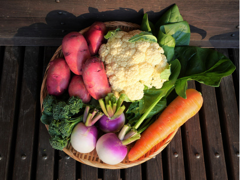 【有機JAS♪】旬の野菜お得なセット2,000円分 （80サイズ）