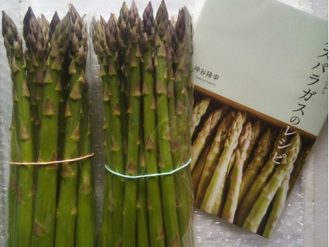 本格レシピ集付き アグリットのアスパラふくきたるlサイズmサイズセット1kg 福島県産 食べチョク 農家 漁師の産直ネット通販 旬の食材を生産者直送