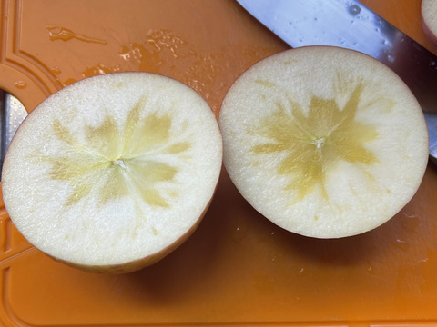 完熟蜜入り！？☆太陽の光を浴びた、こだわりサンふじ☆家庭用企画