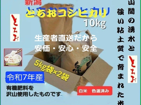 コシヒカリ10kg 送料込　農家直送精米済 コシヒカリ 精米10kg いわき市産 令和6年新米 農家直送米 : 親