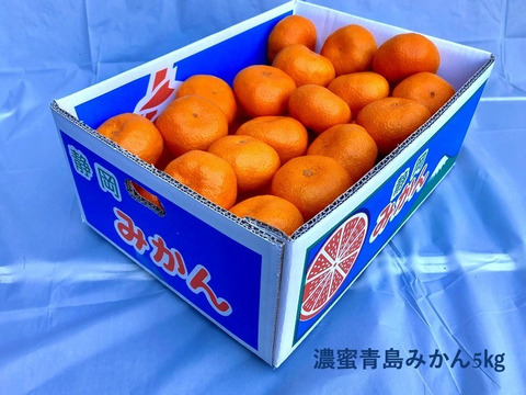 【貯蔵熟成で濃い甘み】濃蜜 青島みかん 5kg｜静岡県から産地直送（糖度12～14度）