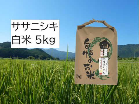 【2024年産】自然栽培米『ササニシキ』白米5kg