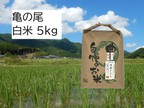 【数量限定！2025年産】自然栽培のお米『亀の尾』白米５kg