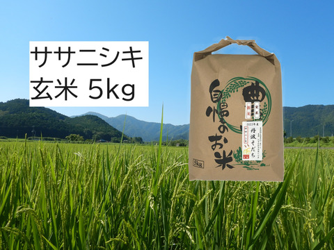 自然栽培のお米『ササニシキ』玄米５ｋｇ