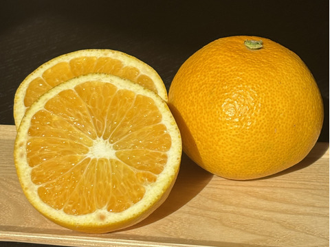 【訳アリ】サイズ規格外！小さい小玉サイズだけど中身はおいしーｯ！はっさく✨
（ご家庭用・10kg箱）