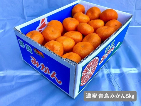 【貯蔵熟成】濃蜜 青島みかん 5kg｜静岡県から産地直送（糖度12～15度）