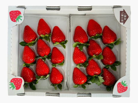 【お歳暮・ギフト用】奈良ブランド「古都華」L（18粒）×２　平均糖度１５度　いちご