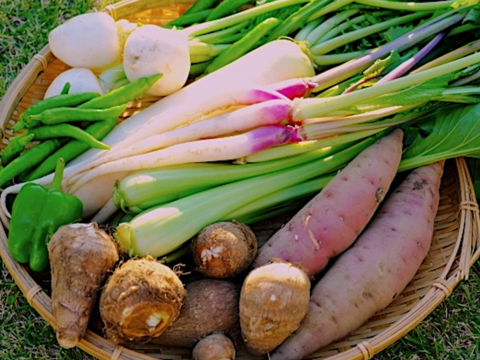 2〜4名様向け野菜セット／野菜6種＋加工品