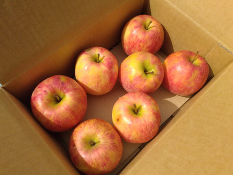 【農薬85％減!!※】パリッとジューシーで甘い！「シナノドルチェ」(2kg箱)