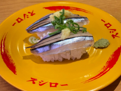 【超大手スシロー御用達】市場になかなか出回らない鮮魚『幻の甑島キビナゴ』業界初パウダースノー冷凍で最高鮮度本格刺し盛り🐟20代女性漁師が手掛ける甑島ブランド【冬ギフト】【4月下旬予約】