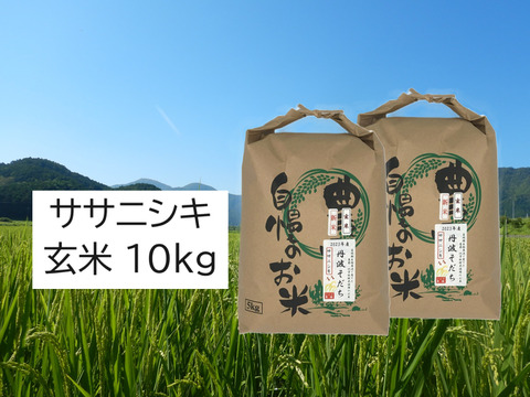 Toshi 玄米１０キロ ２０２４年産 自然農法 2024年産】自然栽培米『ササニシキ』玄米10kg：兵庫県産の