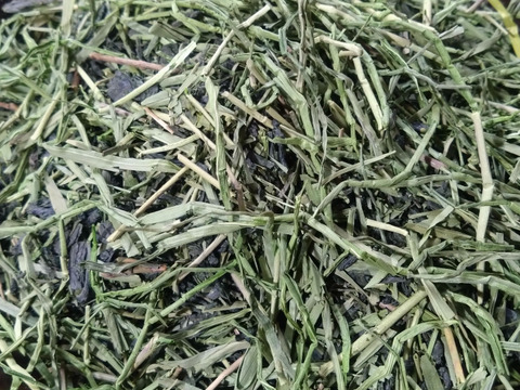 全部茶（2025年）　農薬・肥料不使用 加茂自然農園のお茶