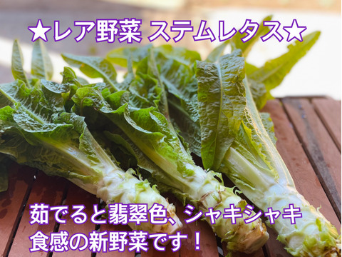 カラフル・レア野菜で元気に！
『お試しS★カラダ喜ぶ初夏の野菜セット6品目』