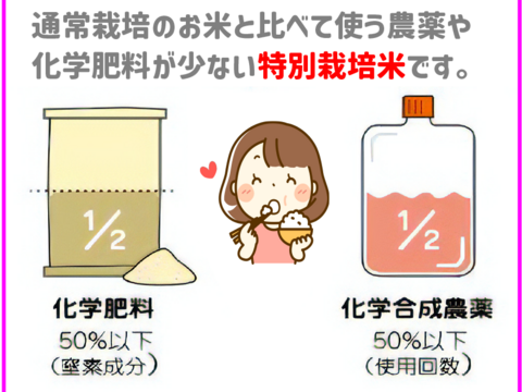 【令和7年 新米予約】特別栽培米 3回日本一品種 いのちの壱 玄米 5kg 岡山の雪国産