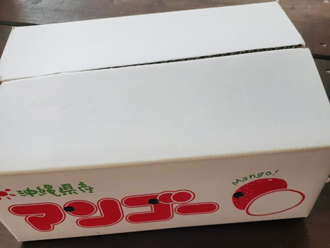 【マンゴーの日セール 7/10-7/15】家庭用マンゴー( 約1.5Kg)