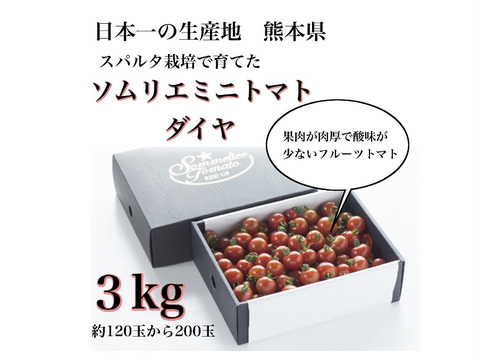 【冬ギフト】【極み】塩トマトのようなフルーツトマト　ソムリエミニトマト　ダイヤ３kg（１２０玉～２００玉）