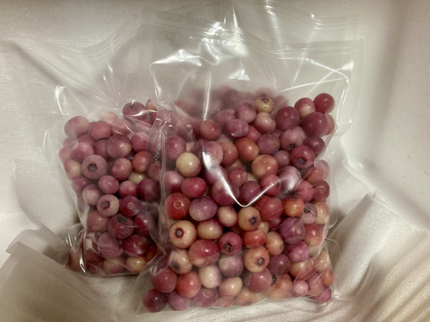 🫐博多湾の離島で育っています🫐新鮮⭐︎採れたてピンクのブルーベリー　冷凍1kg　【8年間農薬不使用】