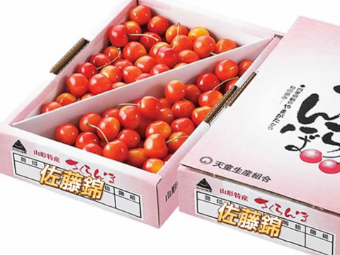山形県産さくらんぼ佐藤錦　1kg  Mサイズ
