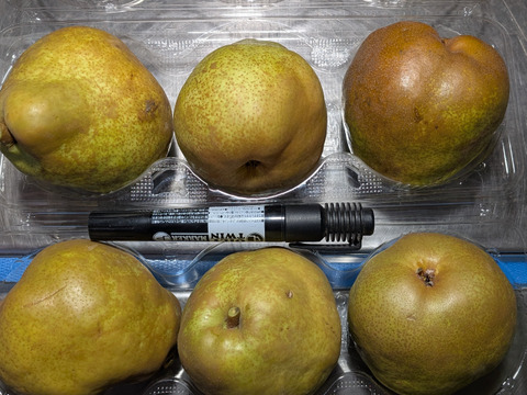 キャベツ、ダイコン、ニンニク、リンゴ、ラ・フランス