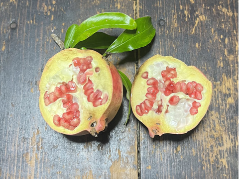 【農薬不使用】懐かしい味わいザクロ500g