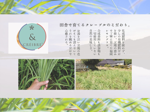 CRÉIBRE(クレーブル) ●秋月美彩３袋セット● ハーバル＆ボタニカルティー　ティーバッグ 2g×11p×３袋 国産福岡レモングラス使用 グリーンルイボス ブレンド