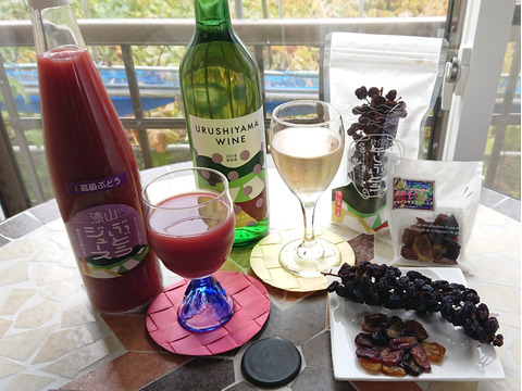 ☆漆山果樹園おすすめギフトドライフルーツとジュースと漆山ワイン☆