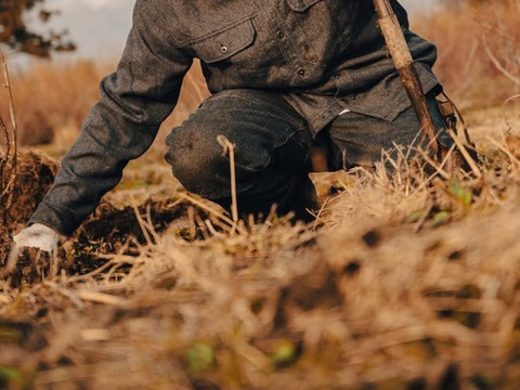 【草だけ育ち】道産自然栽培ケール・500g / カーリー&レッドロシアン（甘くて柔らかい無肥料野菜）