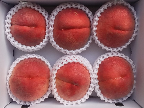 【残りわずか】今年の食べおさめ❰川中島白鳳桃❱2K用箱詰和歌山産
