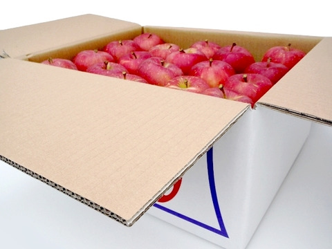 ★早生ふじ★１０ｋｇ★大玉中玉★訳あり★