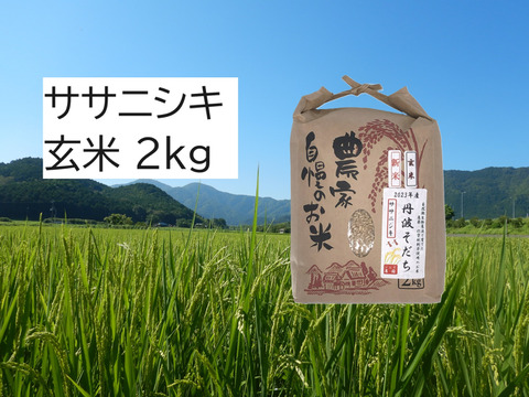 自然栽培のお米『ササニシキ』玄米2kg：兵庫県産のササニシキ
