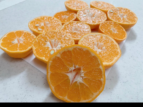 訳あり小さいポンカン箱込み5kg