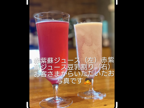 赤紫蘇 茎付きの葉15本以上 赤しそ 赤じそ約25cm 農薬除草剤等不使用🏣ゆうパック◆グラム数は実際のグラムではないので本数でお選びください(茎付きで約200〜250g、葉のみで約120〜200g)