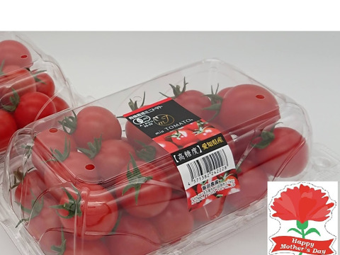 【母の日ギフト】《甘》有機高糖度ミニトマト🍅miuトマト🍅 カツオとコンブで大切に育ててますので甘くて味が濃い‼　１０００ｇ(５００ｇ×２パック)