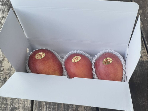 【マンゴーの日セール 7/10-7/15】家庭用マンゴー(約１Kg／３玉)