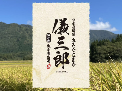 分水嶺清流 無洗米 あきたこまち 10キロ 令和7年度 山形県産 お米 米 白米 精米
