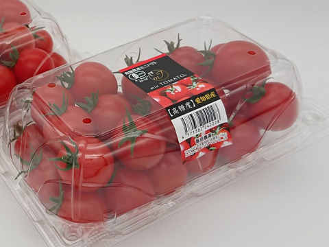 人気【500g&ドライ×2】 名古屋の《極甘》有機栽培オーガニックミニトマト【飯田農園】miuトマト