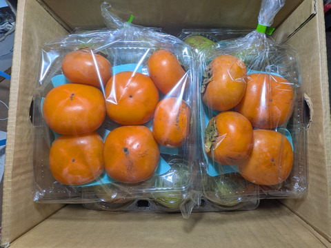 柿、洋ナシ、リンゴの箱詰め