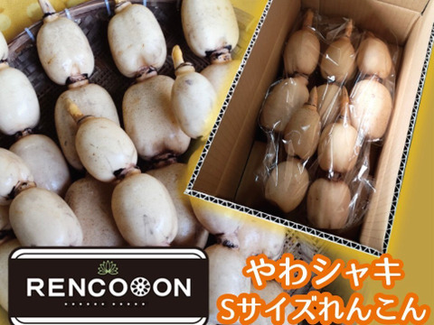 【お買い得】RENCOOONのれんこん！１kg×２箱